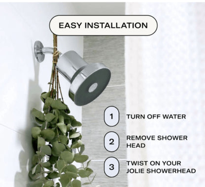 The Filtered Showerhead