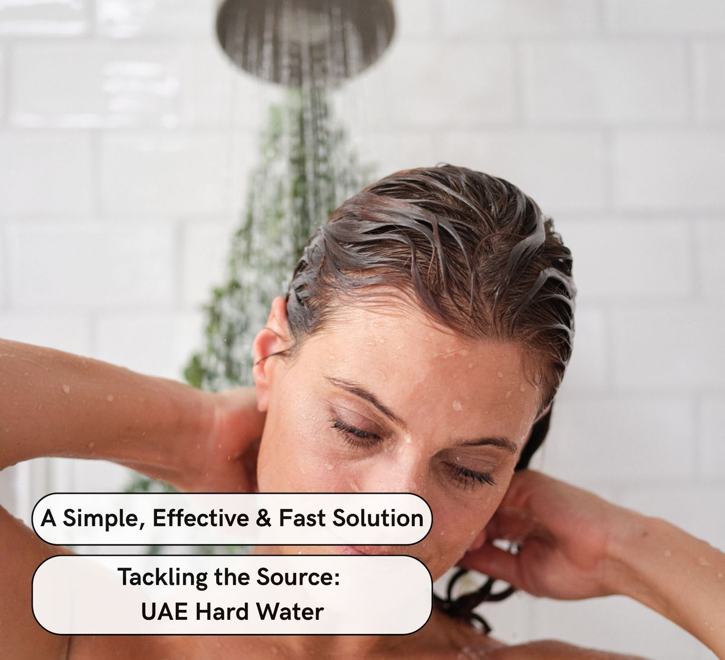 The Filtered Showerhead